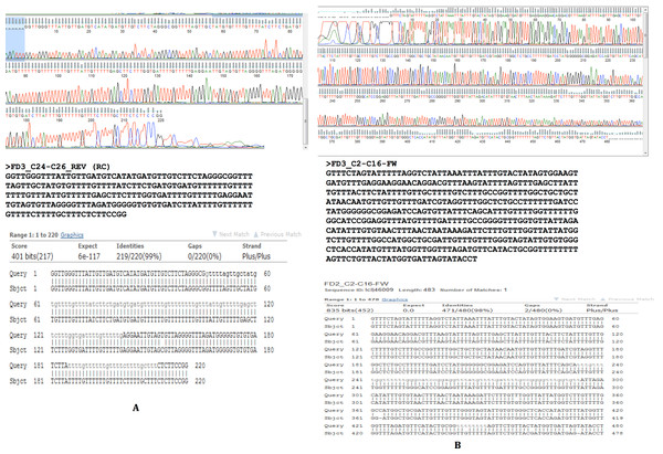 Sanger sequencing confirmatory results for FD2 and FD3 replicate samples.