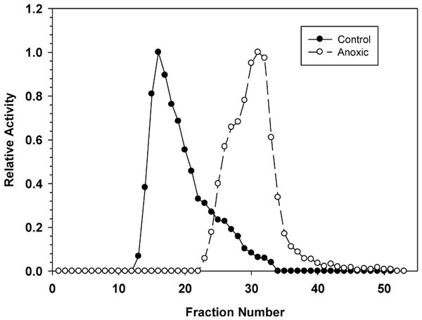 DEAE-Sephadex elution profiles for L. littorea hepatopancreas G6PDH activity from control and 24 h anoxic snails.