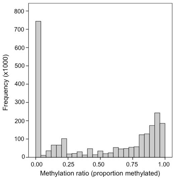 Frequency distribution of methylation ratios for CpG dinucleotides in oyster gill tissue.