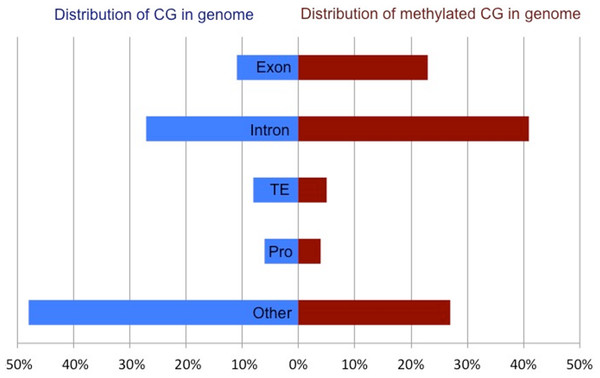 Comparison of the total CpG versus methylated CpG in oyster gill tissue by genomic feature.