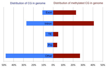 accompanying article image