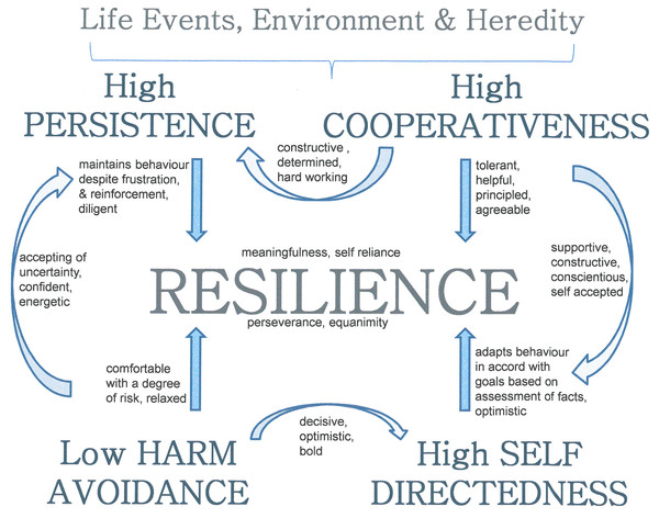 The relationship between temperament and character traits and resilience.