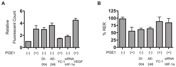 PGE1 increases permeability of vascular barrier reconstituted with HUVECs.