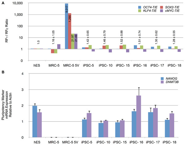 Reprogramming factor and pluripotency related mRNA expression in putative iPSC clones.