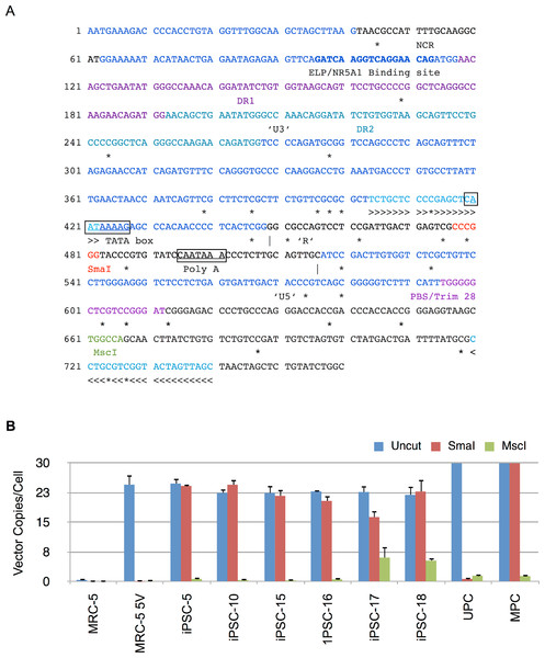 Methylation analysis of Moloney vector 5′ LTR using MSRE-qPCR.