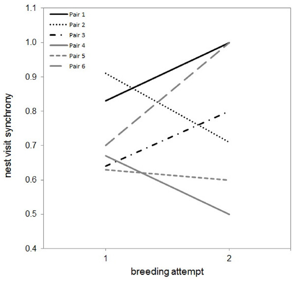 Nest visit synchrony in multiple attempts during a season for six pairs.