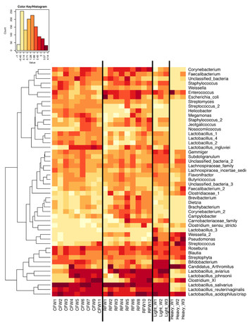 Succession of the turkey gastrointestinal bacterial microbiome related ...