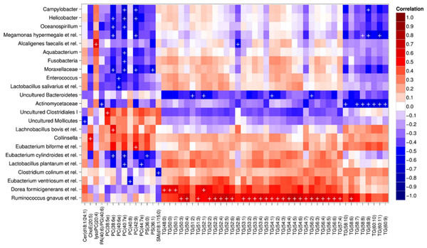 Correlations between intestinal genus-level phylogenetic groups and serum lipids.
