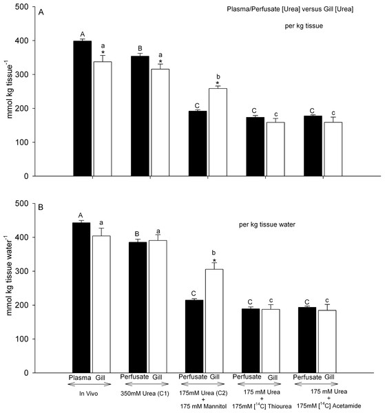 Urea concentrations in plasma or perfusate versus those measured simultaneously in gill tissue.