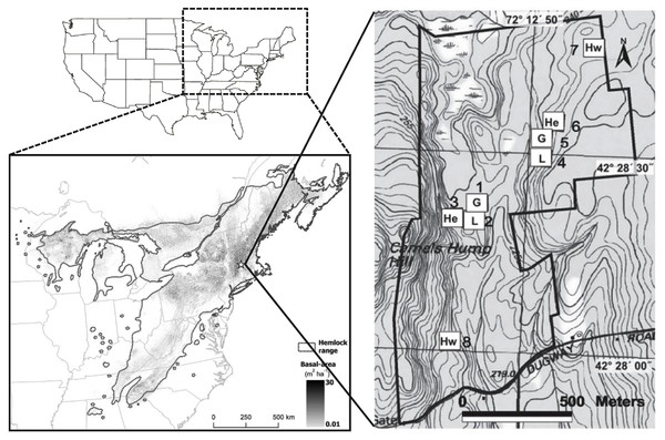 Location of the Harvard Forest Hemlock Removal Experiment.