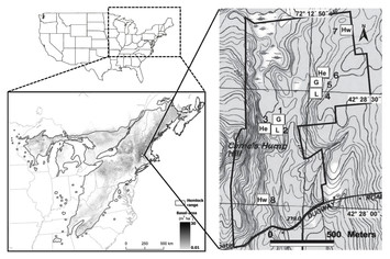 accompanying article image