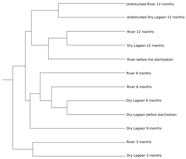 Relationship between samples.