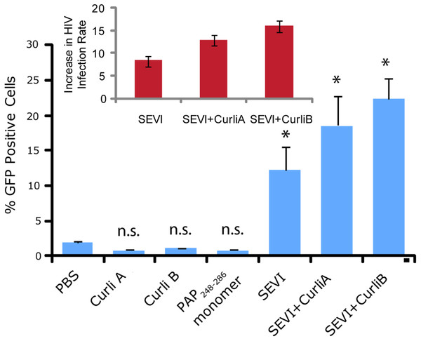 Curli nucleated SEVI fibers enhance HIV infectivity to a similar degree as SEVI generated de novo.