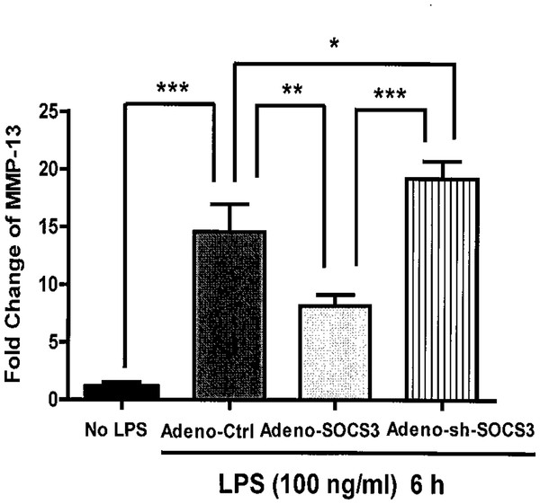 Critical role of SOCS3 in regulating LPS-induced MMP-13 gene expression in primary calvarial osteoblasts.