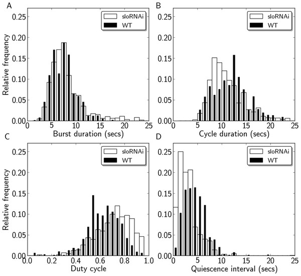 Quantification of motor activity in slo RNAi larvae.