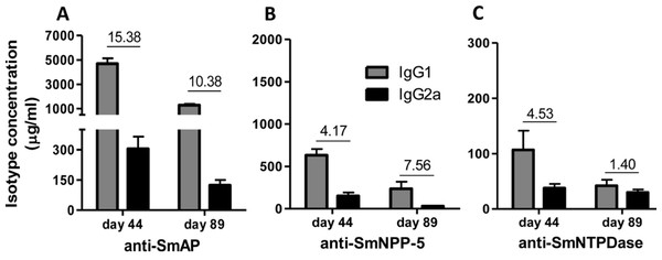 IgG1 and IgG2a levels induced by immunization with isolated tegument nucleotidases associated with praziquantel subcurative treatment.