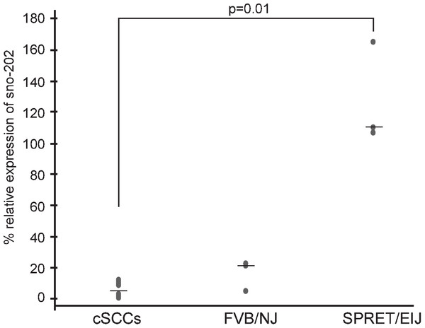 Decreased miR-1 expression in cSCCs.