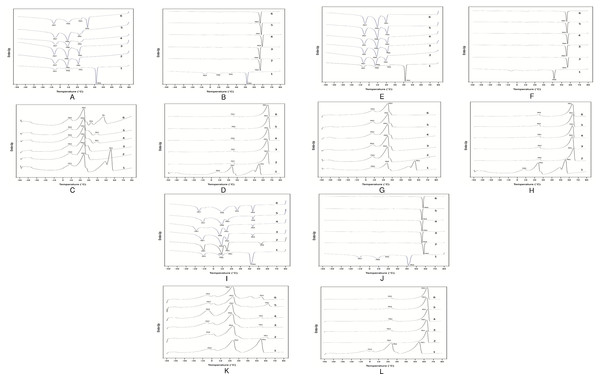 DSC crystallization (A, B, E, F, I, J) and melting curve (C, D, G, H, K, L) for olein (A, C, E, G, I, K) and stearin fraction (B, D, F, H, J, K) at different cooling rate (A–D), crystallization temperature (E–H) and agitation speed (I–L).