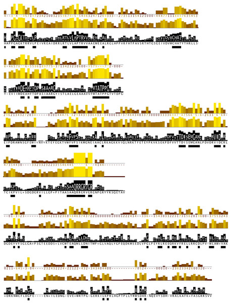 Conserved residues identified by analysis of all flaviviridae NS3 proteins.
