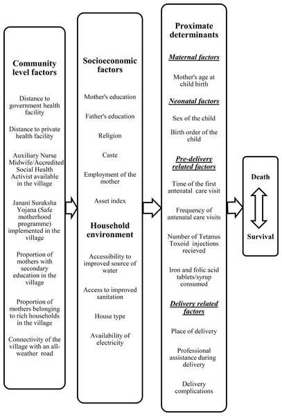 Conceptual framework showing factors affecting neonatal mortality.