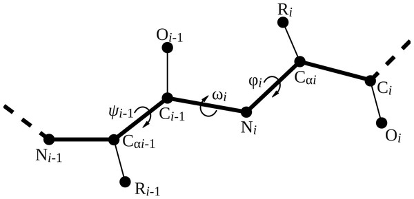 Illustration of backbone dihedral angles.