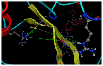 Molecular modeling and pharmacophore elucidation study of the Classical ...