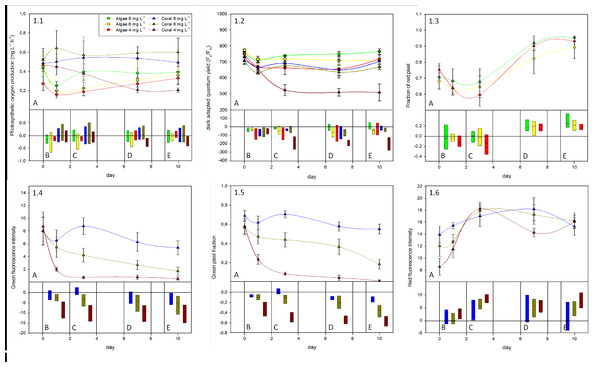 Summary of responses from the coral A. yongei and alga B. pennata to the oxygen treatments.