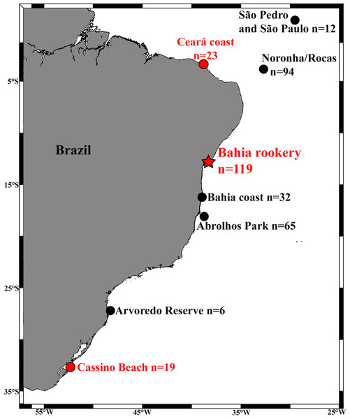 Locations and sample sizes of genetically-described immature hawksbill areas (dots) and the Bahia rookery (red star) in Brazil.