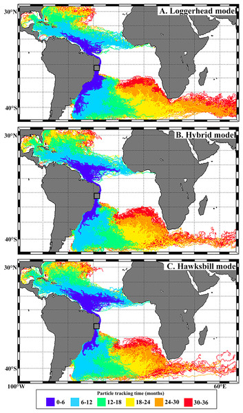 Virtual particles leaving the Bahia rookery during loggerhead (A), hybrid (B) and hawksbill (C) hatching seasons.