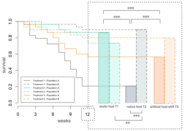 Larval survival of two populations of Costelytra zealandica during 12 weeks of feeding treatment with tussock, clover or with a combination of the two plants.