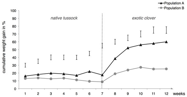 Cumulative weight gain of two populations of Costelytra zealandica larvae following 12 weeks of artificial host-shift feeding treatment, where larvae were fed for 7 weeks on tussock and 5 weeks on clover.
