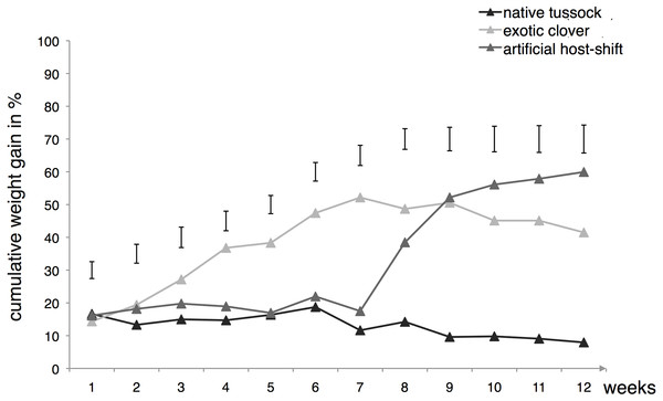 Cumulative weight gain of Costelytra zealandica larvae collected from exotic pasture following 12 weeks of feeding treatment on various host plants.