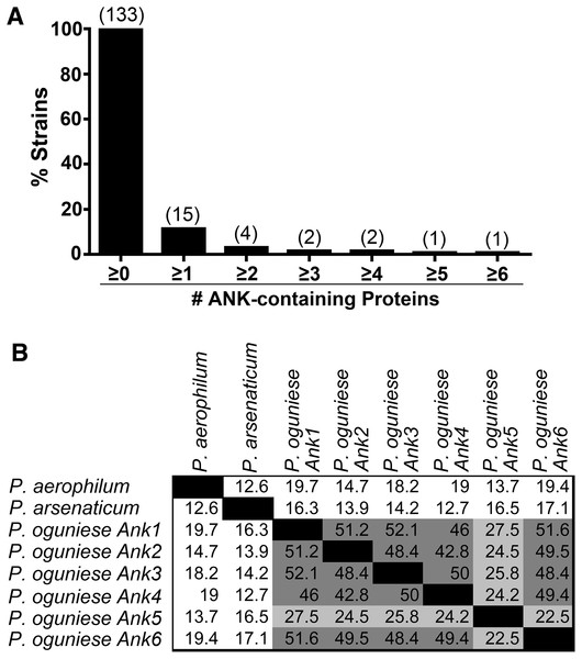Analysis of ANK-containing proteins in archaeal strains.