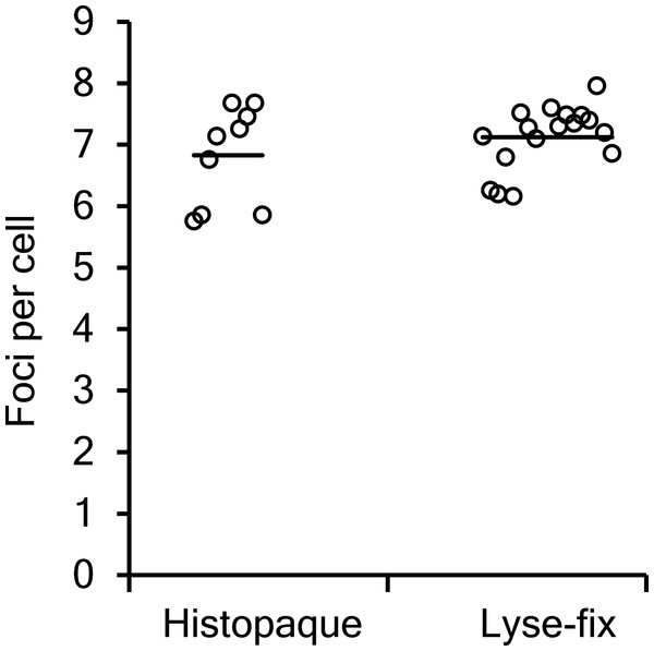 Comparison of manual γ-H2AX foci counts.