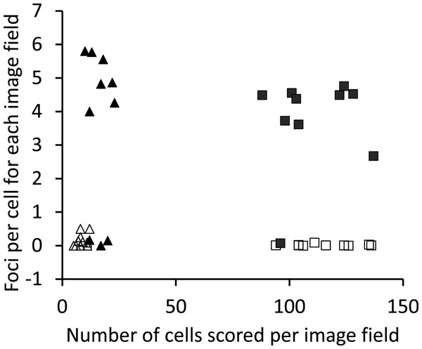 Comparison of automated γ-H2AX foci counts.