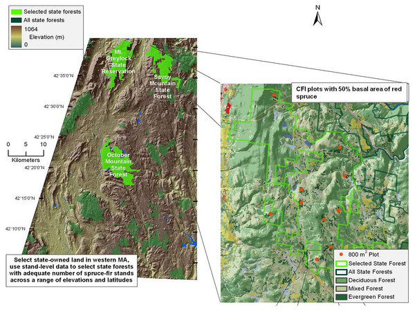 Map of sampled forests and red spruce distribution.