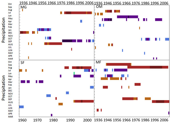 Dendroclim precipitation correlations with forest chronologies.