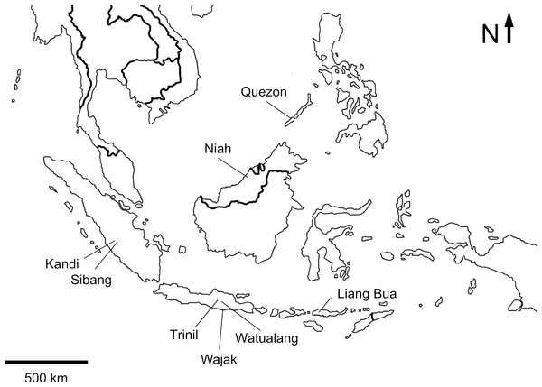 Map of Insular Southeast Asia indicating the location of localities with fossil bird remains.