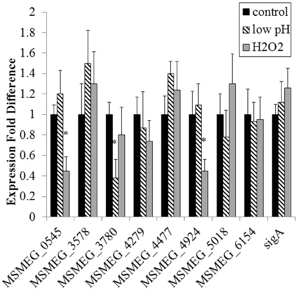 Regulation of M. smegmatis adenylate cyclase genes under low pH and oxidative stress.