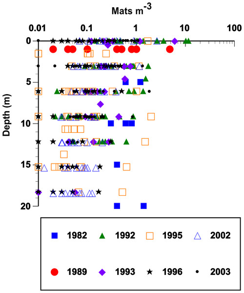 Vertical distribution and abundance of Rhizosolenia mats observed by divers.