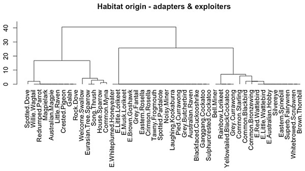 Cluster dendrogram (Ward method) of adapters and exploiters by habitat-of-origin. Exploiters that cluster within the adapters are prefixed with the letter “E”.