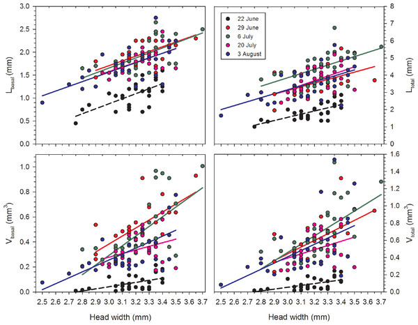 Regressions of oocyte variables on head width of female Megachile rotundata (Fabricius, 1787) (Hymenoptera: Megachilidae) for each of the five sampling dates.