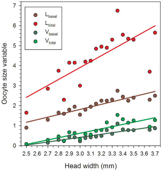 Regressions of oocyte variables on head width of female Megachile rotundata (Fabricius 1787) (Hymenoptera: Megachilidae) for each of the five sampling dates, using only the largest values in each head width class (data for 29 June to 3 August only).