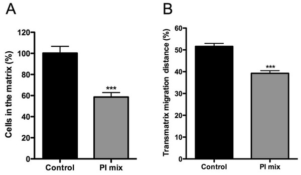 Trans-matrix migration ability is affected by the presence of a protease inhibitors (PI) mix.