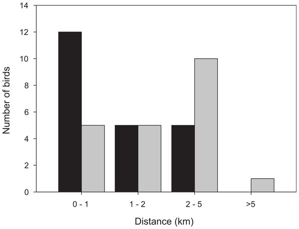 Distribution of distances from the trapping site to the position where the bird spent the last day before take-off, for birds followed for a full stopover within the study area.