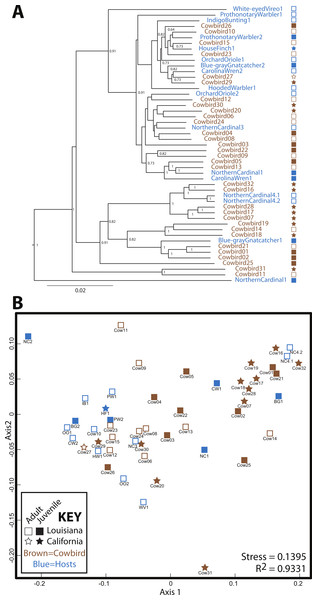 Relatedness of gut microbiota communities.