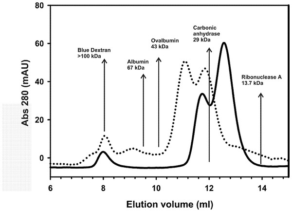 Analytical size exclusion chromatography.
