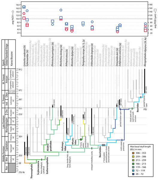Summary of evolution of size and bone microstructural traits.