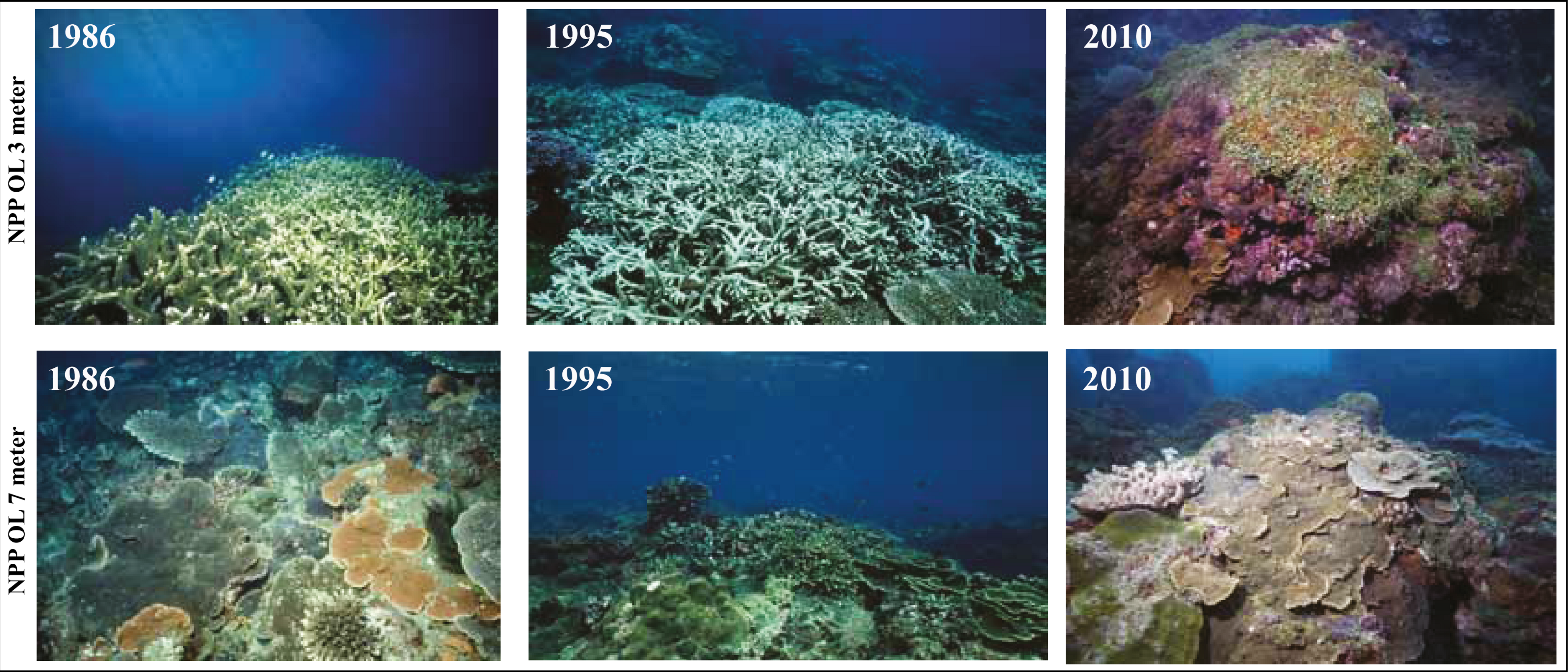 Can Resistant Coral-Symbiodinium Associations Enable Coral Communities To Survive Climate Change ...