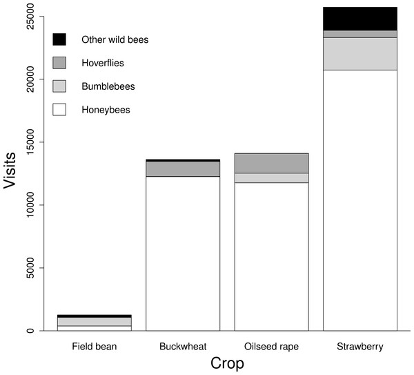 Total number of visits recorded per pollinator guild in each crop.